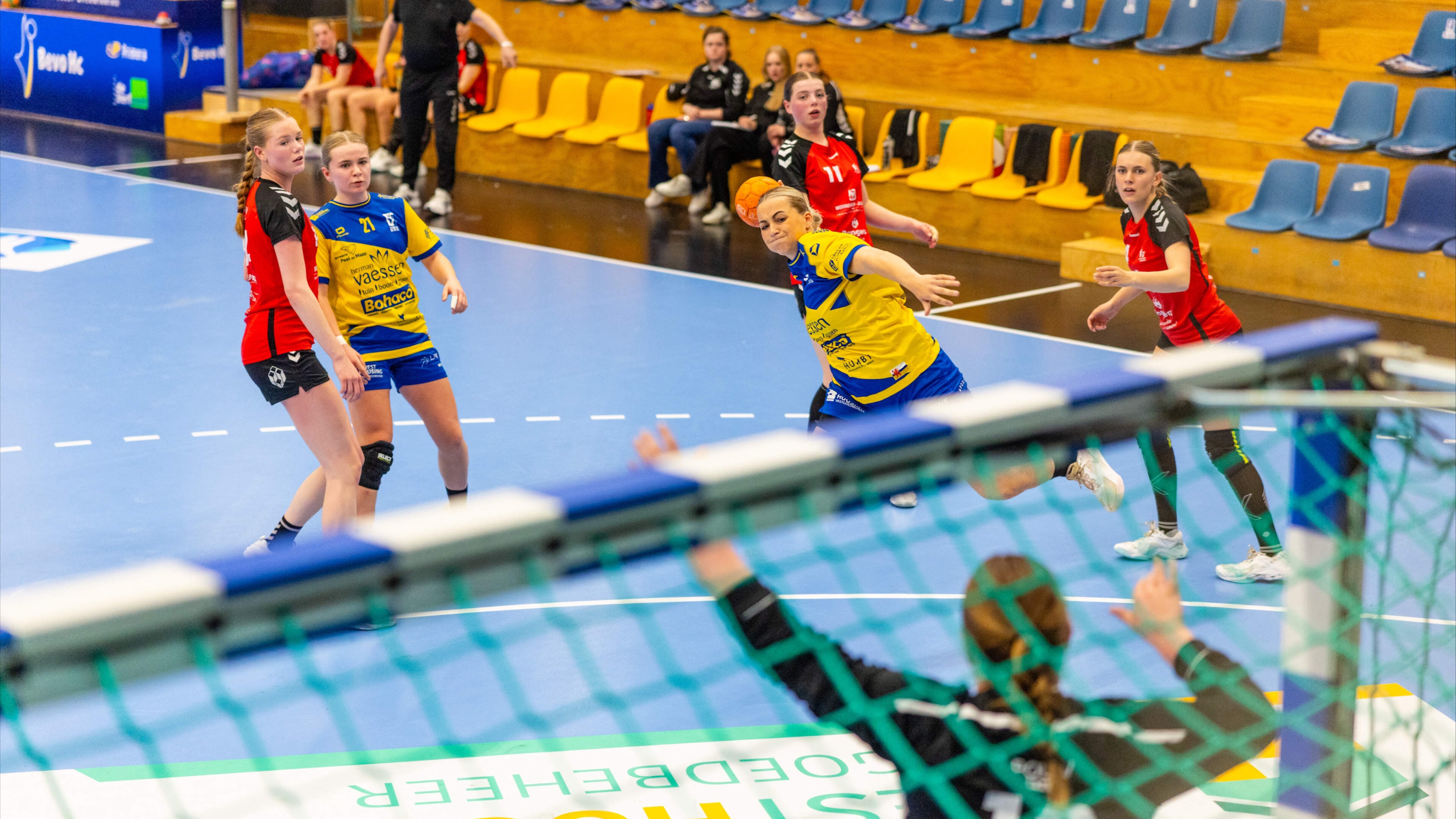 Ambitieuze Puck Verlinden wil nu als coach met Bevo HC naar de top: ‘Ik had al gehoopt dat de vraag zou komen’