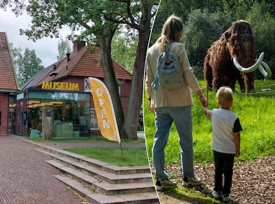 Veel vragen over nieuwe steun voor museum Natura Docet: ‘Gemeente is geen continue geldkraan’