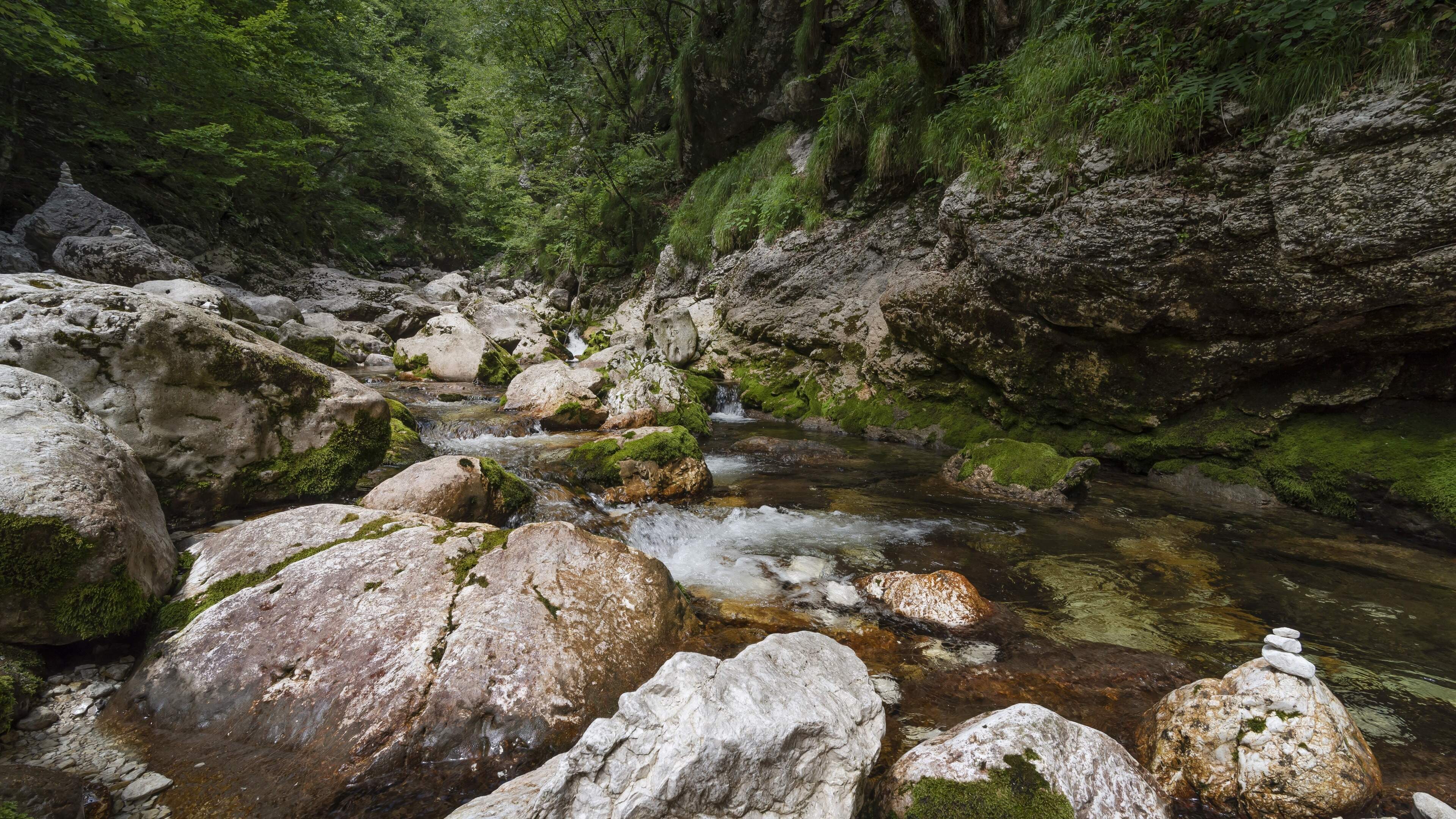 Drama in Slovenië: Nederlander (57) overlijdt tijdens afdaling in berggebied, stort vlak bij gezin in afgrond