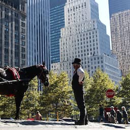 Paard slaat op hol in Central Park, tiener komt hard ten val en overlijdt