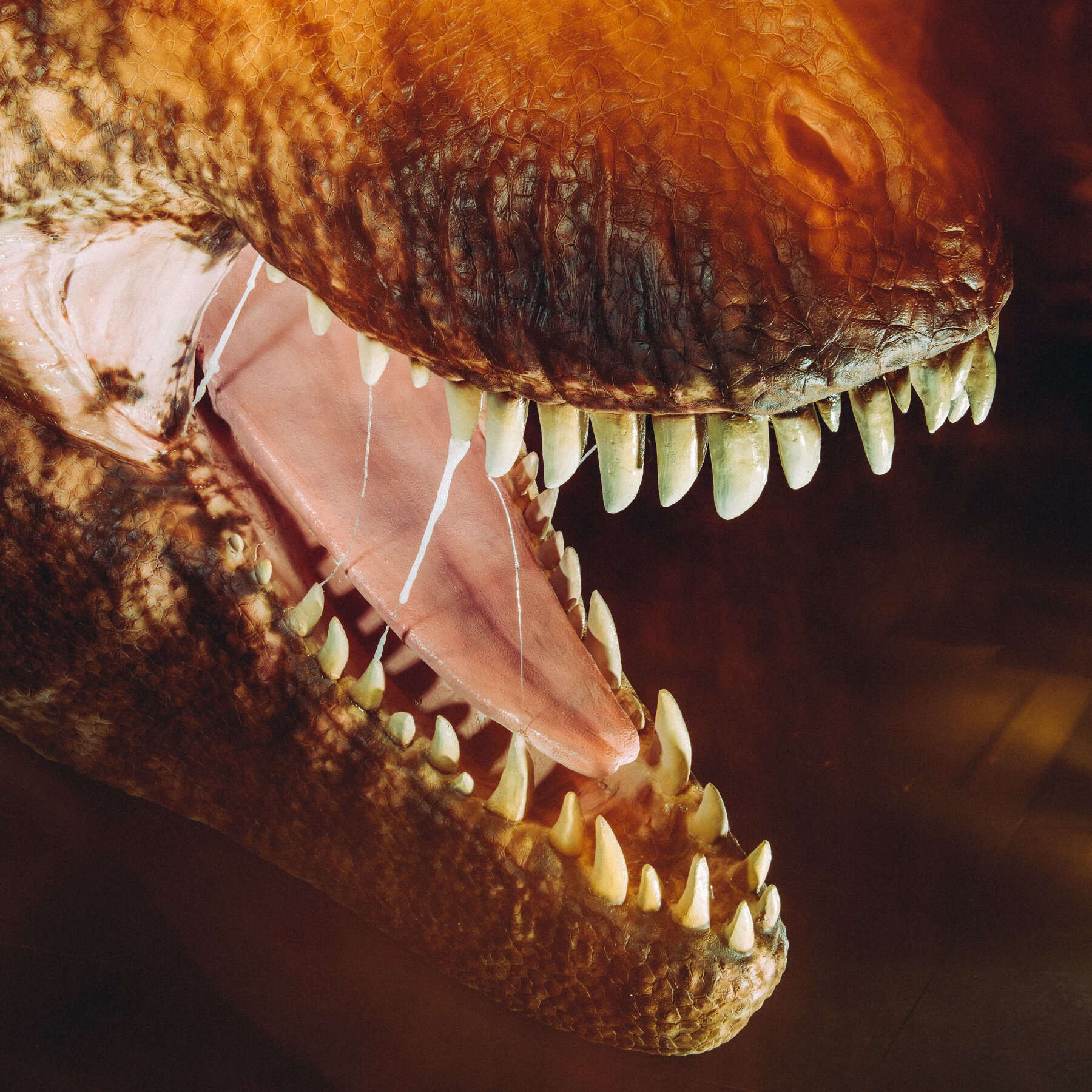 It’s Godzilla vs. T. Rex Out There All Over America