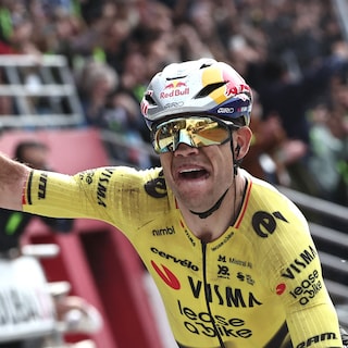 Wout van Aert mist Tour de France: elleboog niet genezen