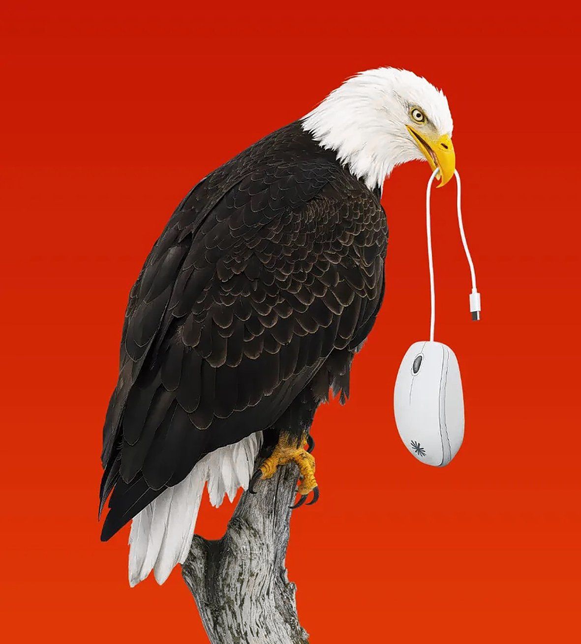 AI has granted America vast new power.