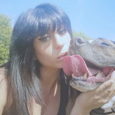 Nederlandse hond moet op last van Franse rechter dood omdat hij zwangere vrouw doodbeet
