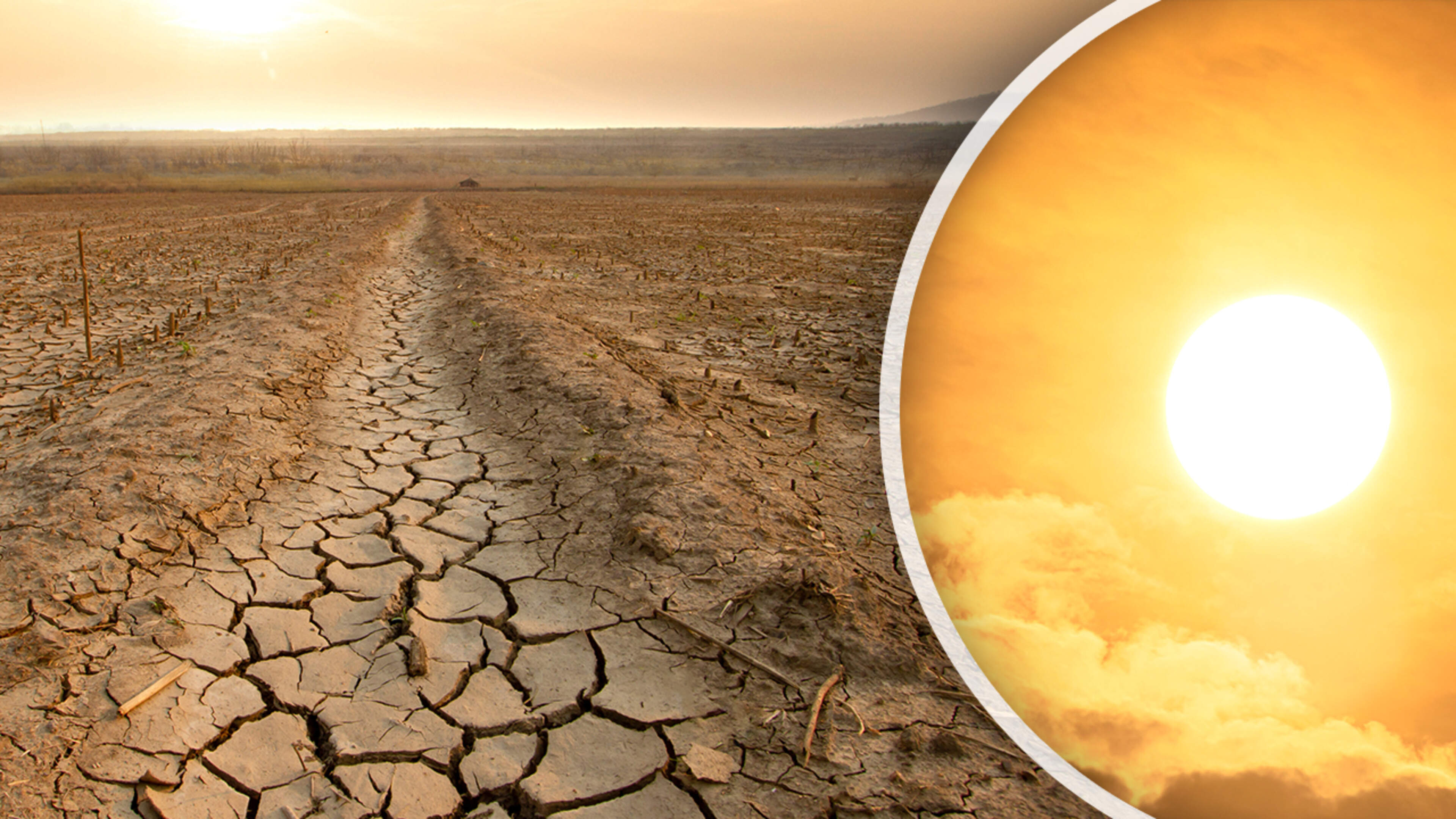 Klimaatverschijnsel El Niño is begonnen: gevolgen van dit fenomeen kunnen desastreus zijn