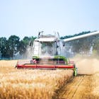 EU verruimt de weg voor genetisch bewerkte gewassen