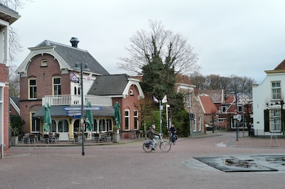 Al jaren klachten over evenementen in Oud Borne: bewoners vinden dat gemeente te weinig doet