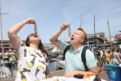 Hollandse Nieuwe is er; experts prijzen duurzaamheid en lage vervuiling