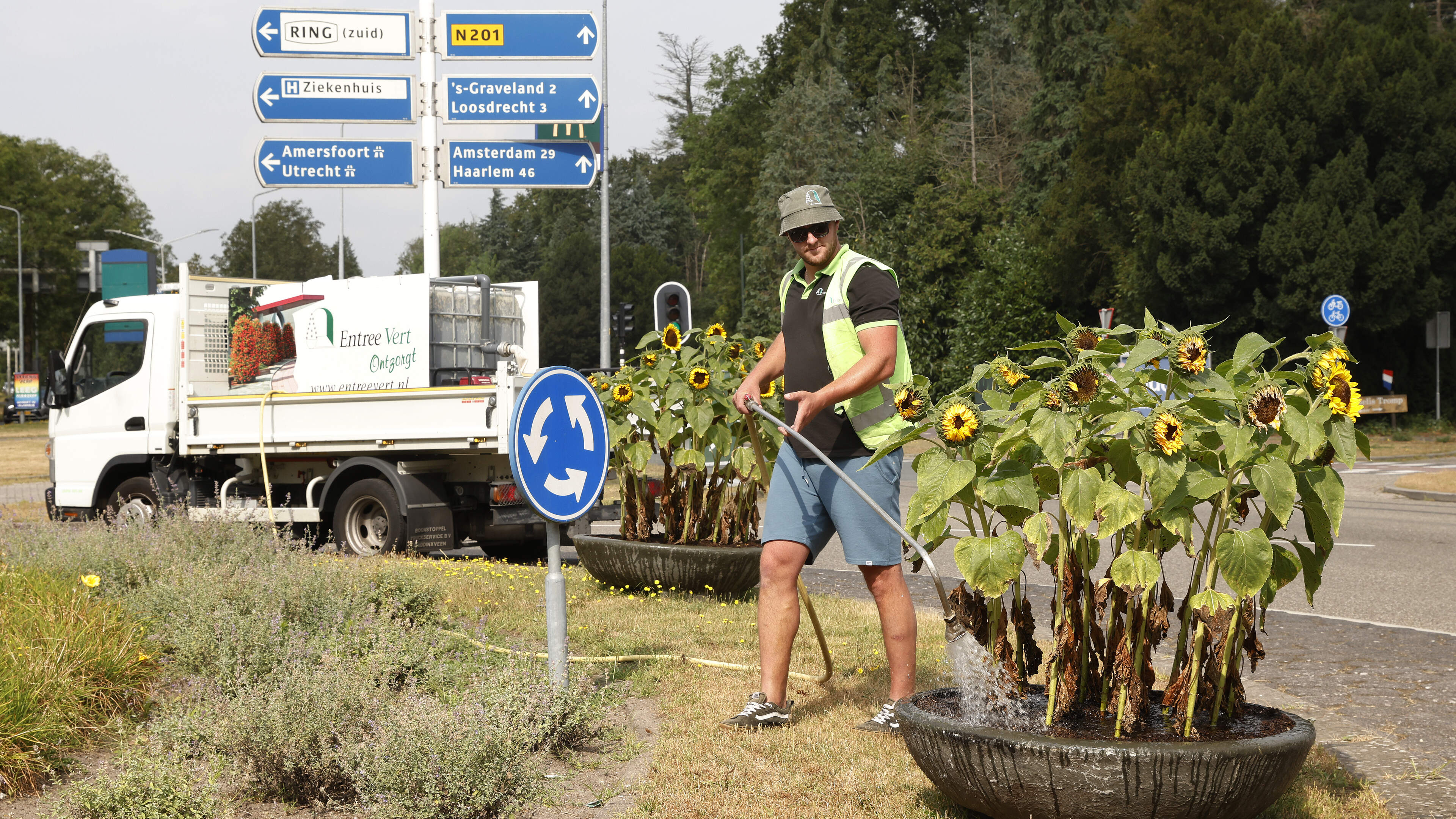 Drie vragen over jonge aanplant in Heemskerk. Wie geeft ze eigenlijk water op deze bloedhete dagen?