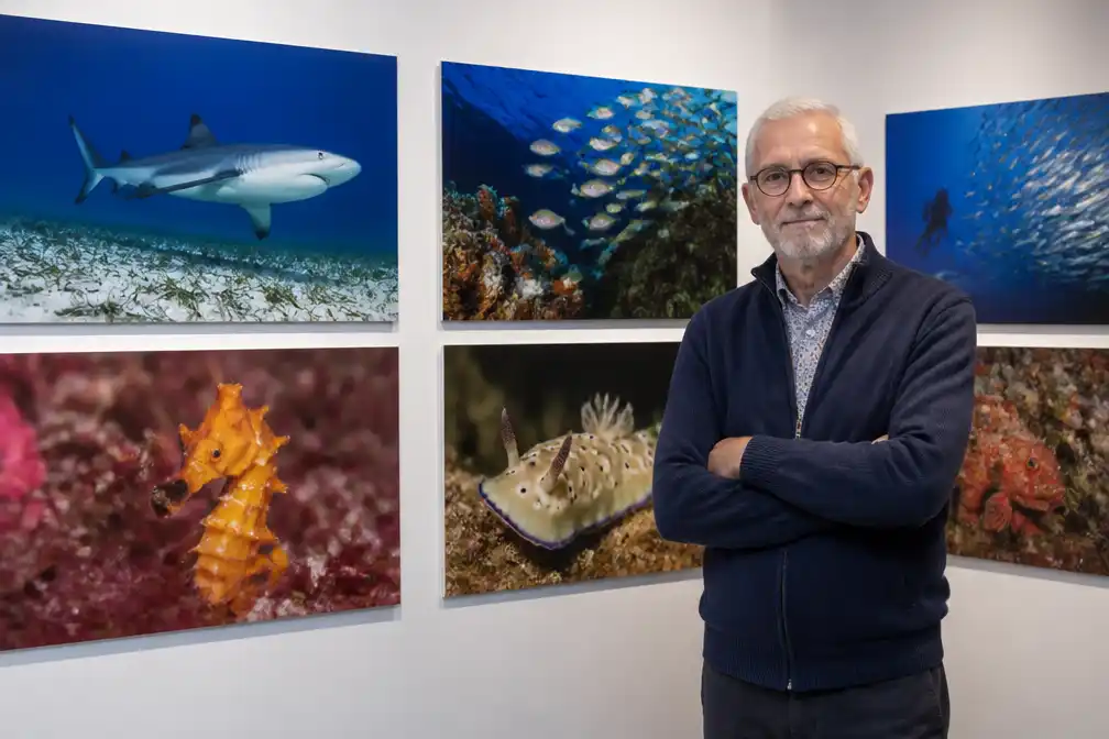 Onderwaterfotograaf Marc Van den Broeck (70) toont 70 zeefoto’s in Merchtem
