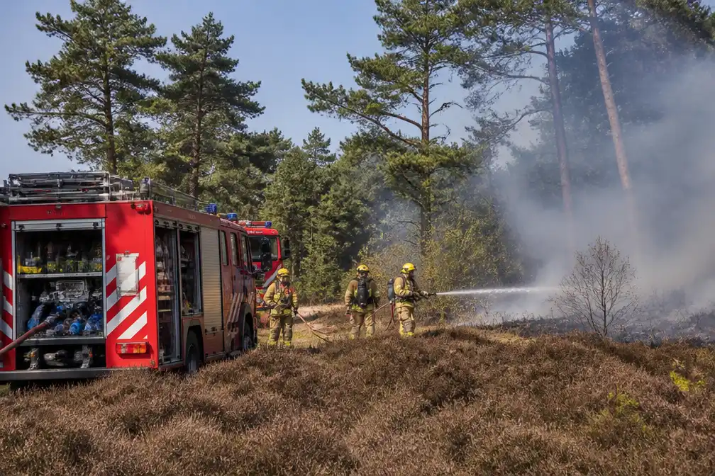 Natuurbrand in natuurgebied Herperduin bij Oss, grote inzet brandweer