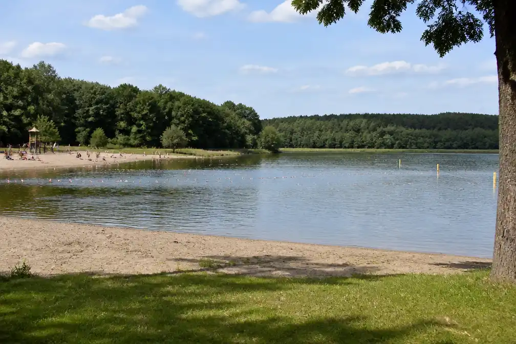 Vrouw springt in Het Hulsbeek om verdrinkende man te redden, anderen kijken toe