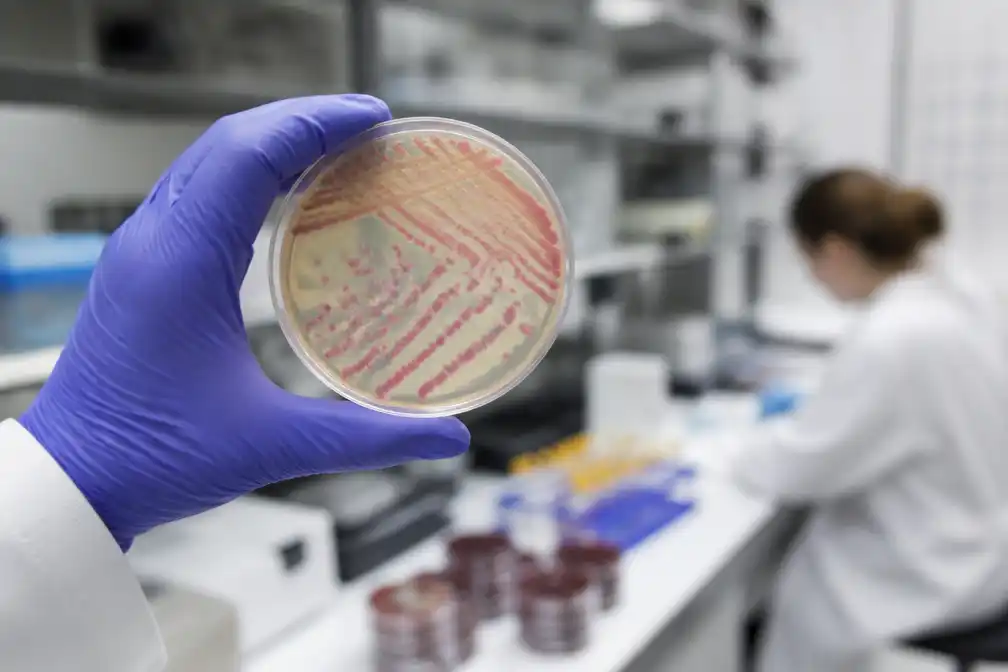 Salmonella-uitbraak in VK treft meer dan 200 mensen, één dode