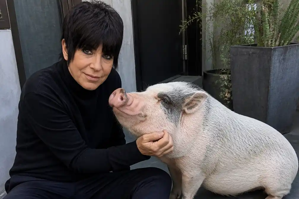 Diane Warren adopteert varken dat door West Hollywood rende