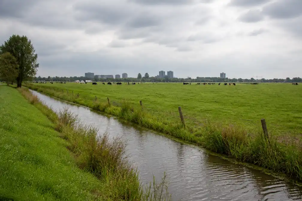 Staten Utrecht twijfelen aan Rijnenburgplannen na uitspraak Karremans over tram