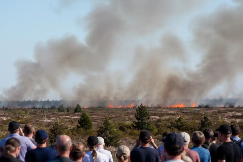 Sanicole Airshow in Hechtel-Eksel stilgelegd na natuurbrand door vuurwerk