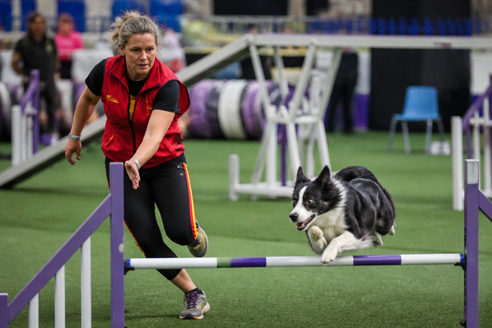 An Wauters en hond Tinsel pakken zilver op WK para agility