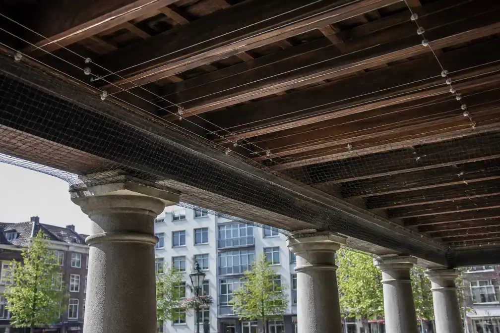 Vilvoorde plaatst schrikdraad tegen duiven onder luifel op Grote Markt