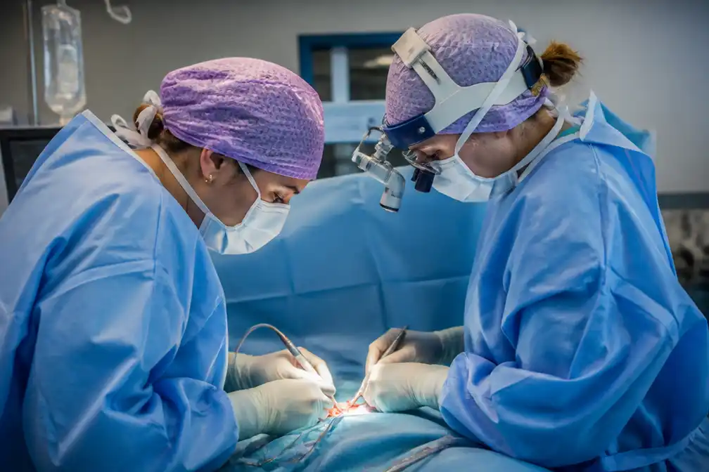 Clitoris kan nu worden gereconstrueerd na verlies van weefsel door vulvakanker