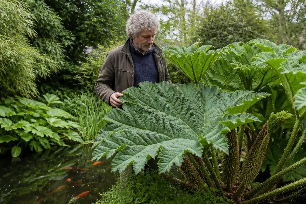 Tuingoeroe Romke van de Kaa noemt de tuin een ecosysteem van geluid