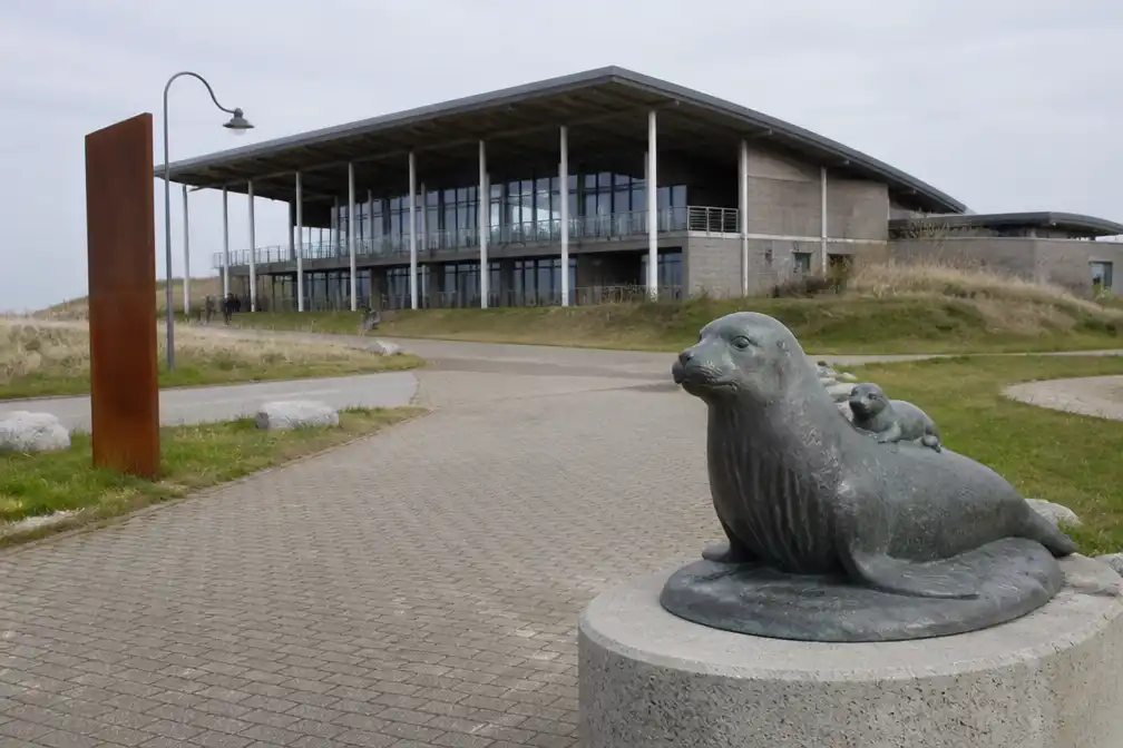 Werelderfgoedcentrum Waddenzee in financiële nood krijgt ook kritiek van dierenopvangers