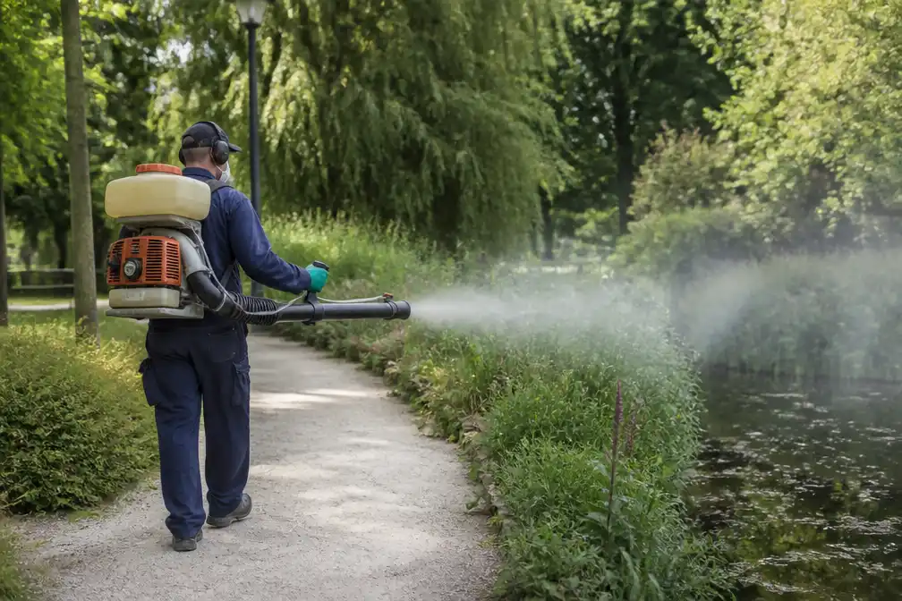 Westnijlvirus eist twee doden in Vlaanderen, zwaarste seizoen in Europa