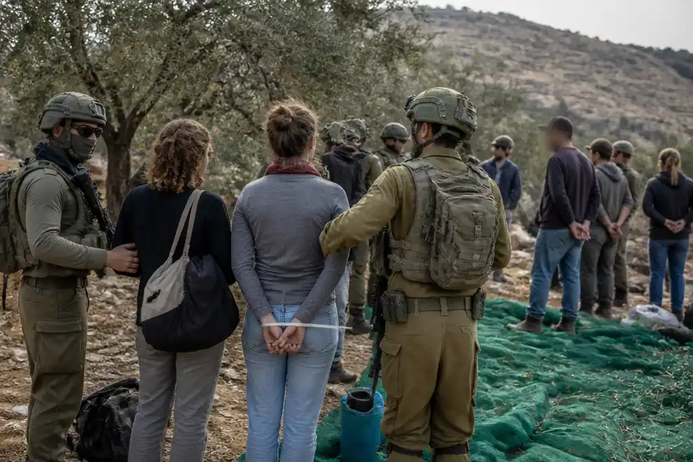 Israëlisch leger pakt circa 90 vrijwilligers op bij olijfoogst op Westelijke Jordaanoever