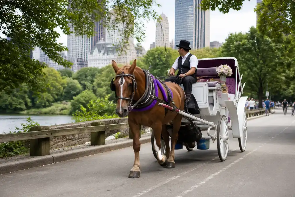 New Yorkse gemeenteraad stemt voor verbod op paardenkoetsen in Central Park
