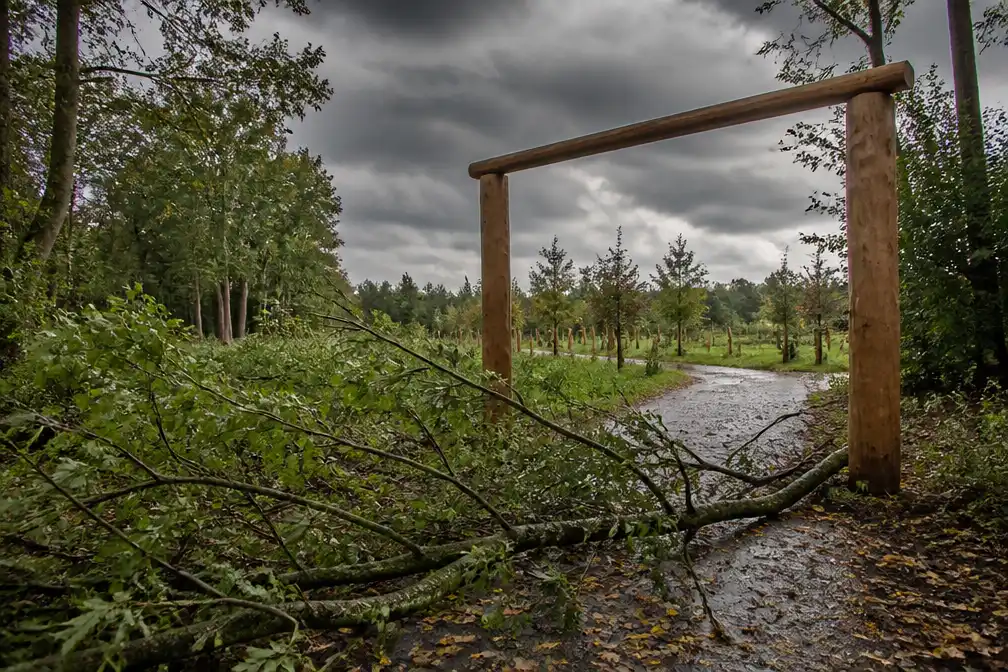 Opening natuurbegraafplaats Terra Nova in Grobbendonk uitgesteld naar 12 november door stormweer