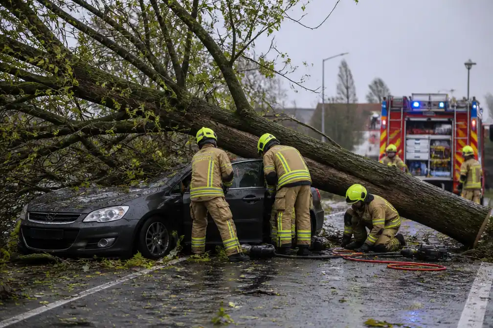 Boom valt op voorbijrijdende auto in Melkwezer, vrouw door brandweer bevrijd