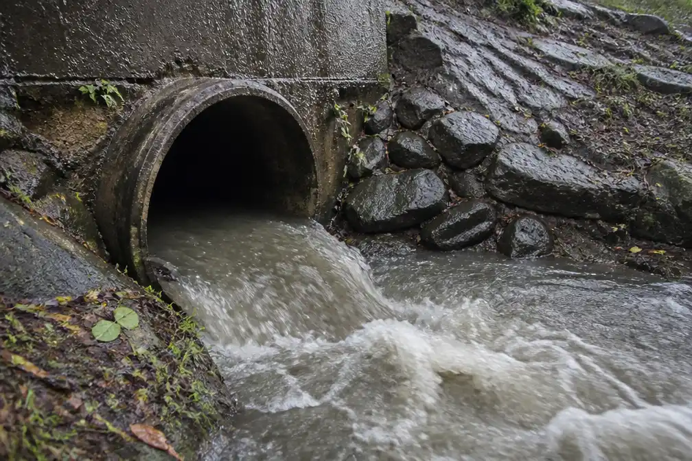 Rioolwateroverlast: zwemadvies in deel Noord-Holland na hevige regen