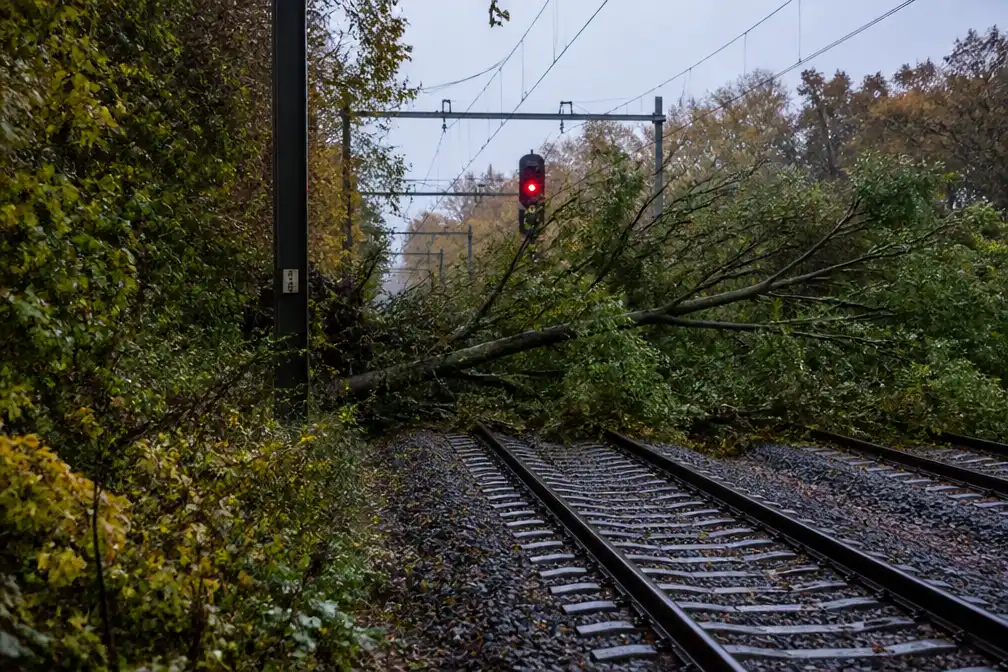 Stormschade legt treinverkeer Haarlem-Zandvoort stil, ook hinder richting Amsterdam