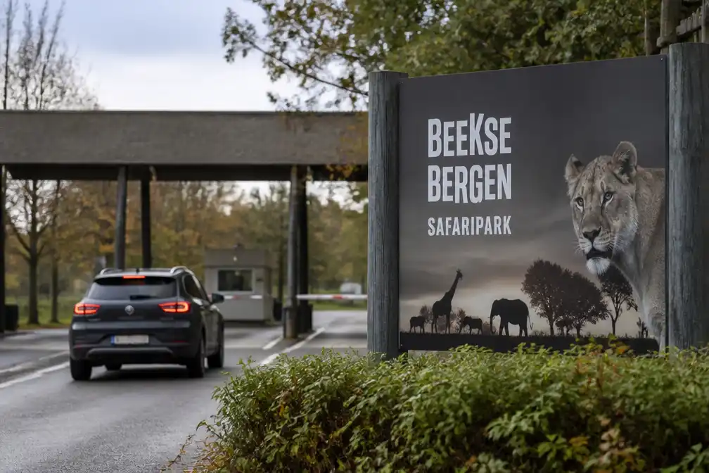 Situatie dierenverzorgster Beekse Bergen na panteraanval nog precair