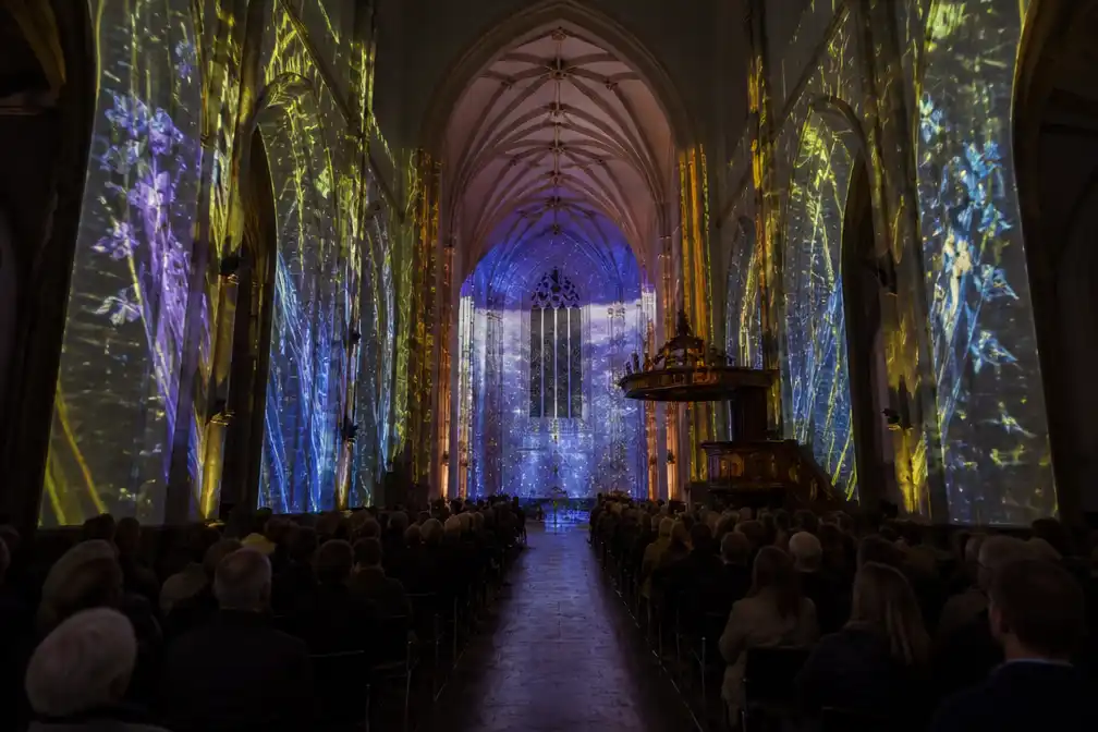 Lichtshow Luminiscence vanaf najaar te zien in Utrechtse Jacobikerk